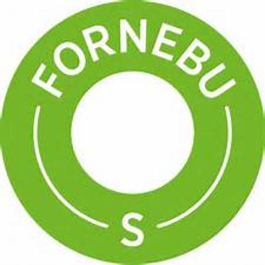 Fornebu S logo