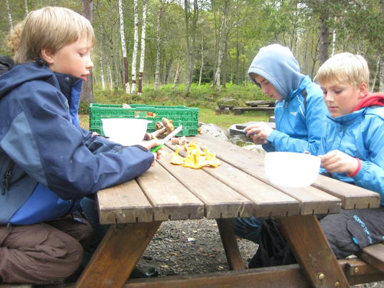 Lars, Øyvind og Markus rensker sopp de har funnet Lars, Øyvind og Markus rensker sopp de har funnet