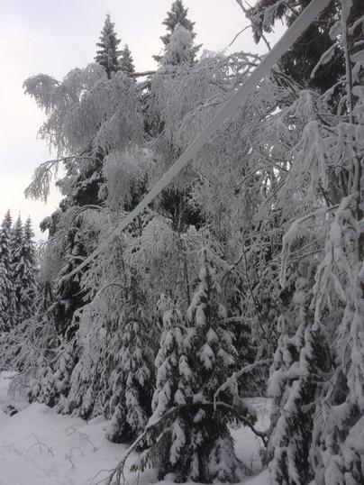 vinter